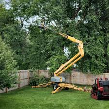 Best Lawn Pest Prevention  in Licking, MO